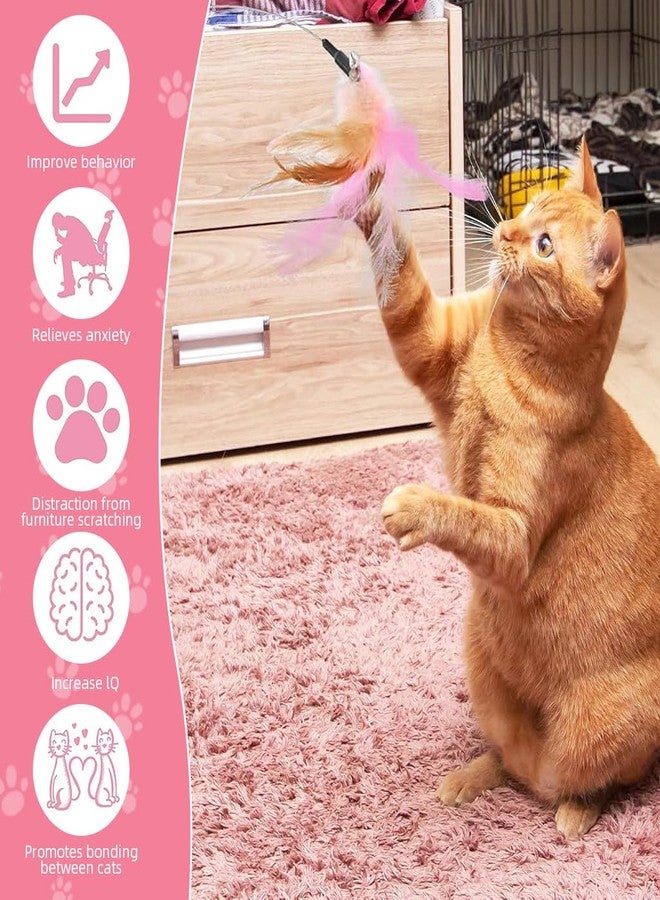 Qpets® Cat Toys, Cat Feather Collar with Teasing Toy, Adjustable Cat Collar Stylish Design Cat Interactive Toys, Elastic Toys for Kittens Funny Cat Playing Toys for Indoor (1Pcs, 20-32CM) - Image 5